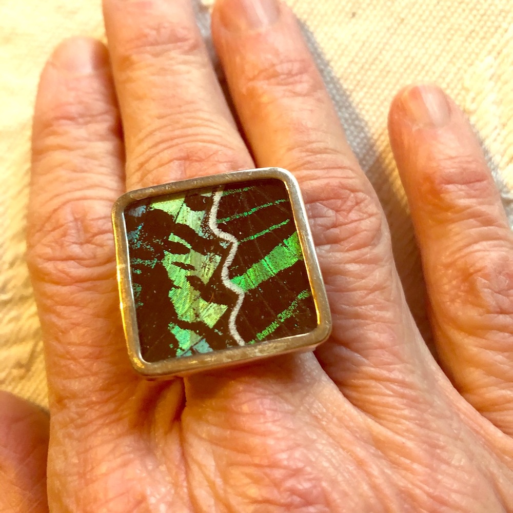 Butterfly wing and sterling silver ring